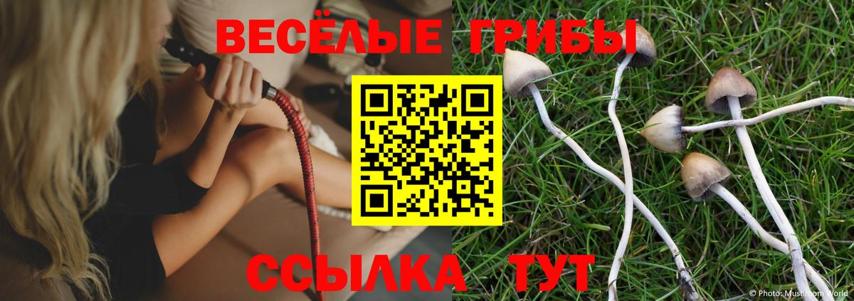 Верхняя Пышма  Псилоцибиновые грибы прущие грибы  Псилоцибиновые грибы MAGIC MUSHROOMS  Вход с VPN 
